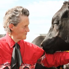 Temple Grandin