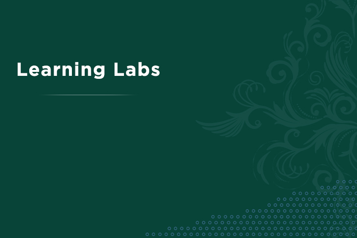 Learning Labs