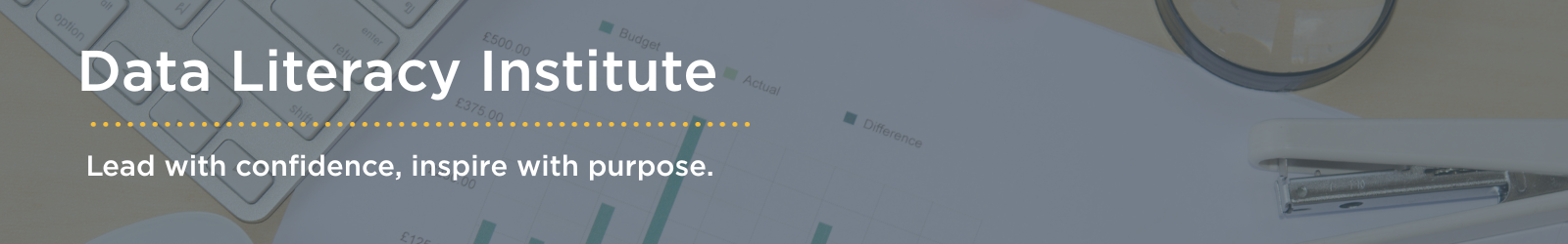 Data Literacy Institute | Lead with confidence, inspire with purpose.