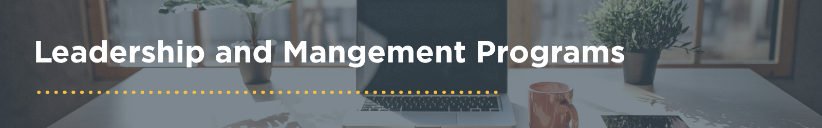 Leadership and Management Programs