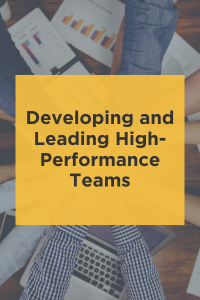 Developing and Leading High-Performance Teams