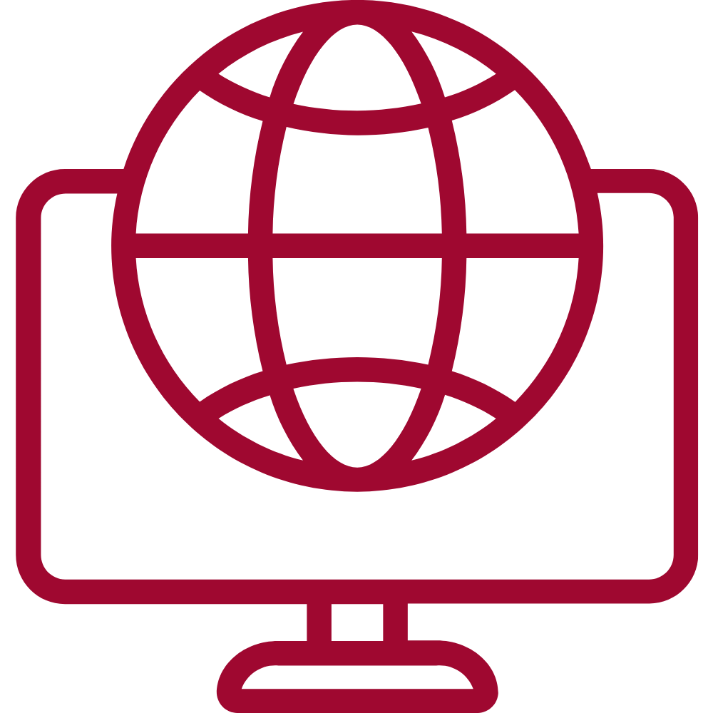 icon: globe in a computer monitor